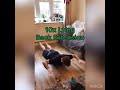 Prehab - Core and Neck 1