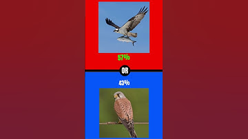 can you decide? comment down below your answers #wouldyourather #challenge #shorts