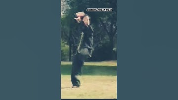 Master Feng Zheng Bao demonstrating 2nd palm of the Mother Palms, Swimming Dragon #baguazhang