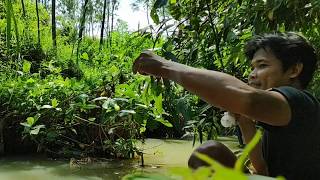 Mancing Lunjar Mania