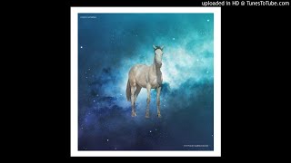 Steedy Wonder - The Polish Ambassador