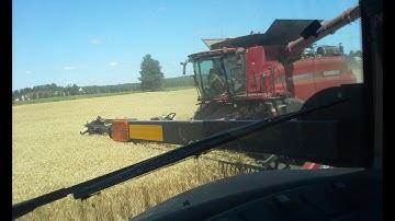 Harvest Time! Two Case Ih 8230 Combines,  Inside Magnum 340 Unloading on the Go