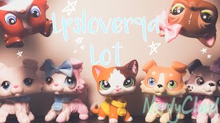 Lpsloverqa Fake LPS & Blank Mold LOT | NerdyCloud Productions
