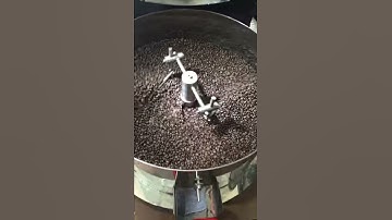 12kg coffee bean roaster working video