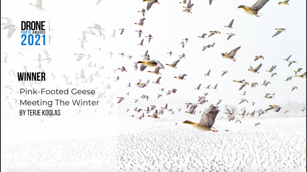Drone Photo Awards 2021