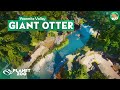 GIANT OTTER HABITAT - Yosemite Valley - Planet Zoo Aquatic Pack