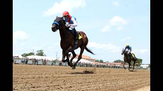 Information Baffert-trained Salahudin rolls to 4 1/2-length victory in Ellis Park Juvenile Guide