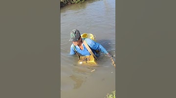 xiệt ếch đồng bơm nước xạ lúa quá hay