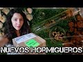 Video: Antcubik-Caixa de Farratge Medium