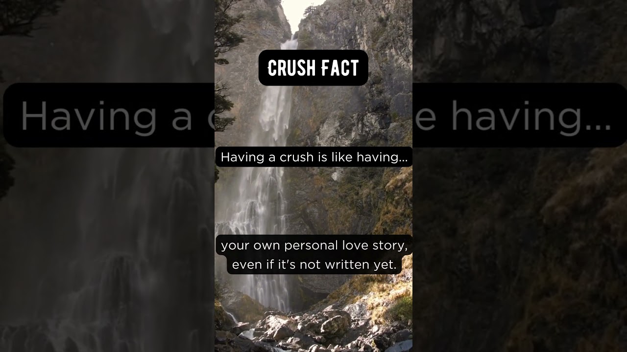 Crush Chronicles: Crafting Your Personal Love Story
