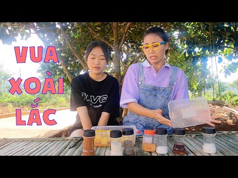 Video Vua Xoài Lắc - youtube