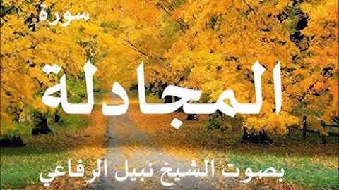 سورة المجادلة بصوت الشيخ نبيل الرفاعي