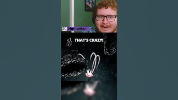 Silksong COMPLETELY Broke