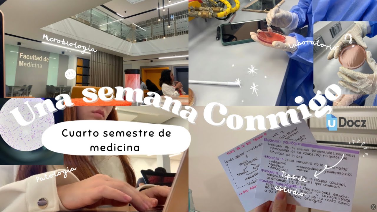 UNA SEMANA PRODUCTIVA DE UNIVERSIDAD CONMIGO🎀| Laboratorio de micro, organización, estudio, tips