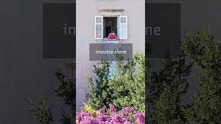 In Search for Meaning Book Trailer #book #booktube #photography #art