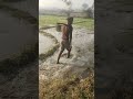 खेती कैसे करते हैं? kheti kaise ki jaati Hai?