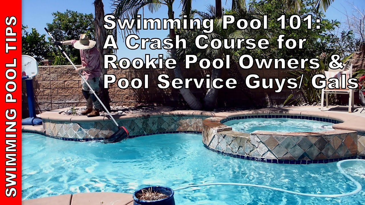 Swimming Pool 101 A Crash Course for Rookies