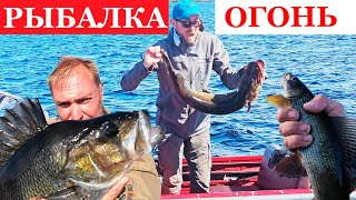 картинка: РЫБАЛКА В ГЛУШИ! ВОКРУГ НИКОГО! ЖИЗНЬ В ИЗБЕ часть 2