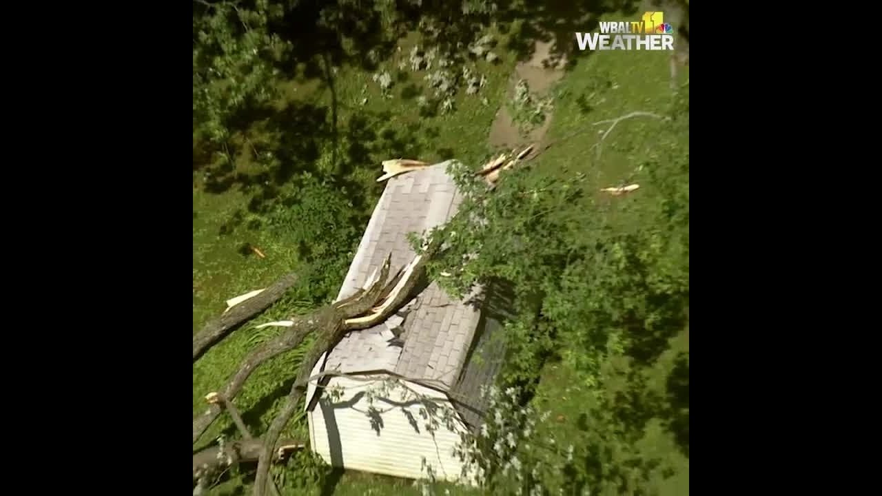 Severe storms leave damage behind overnight