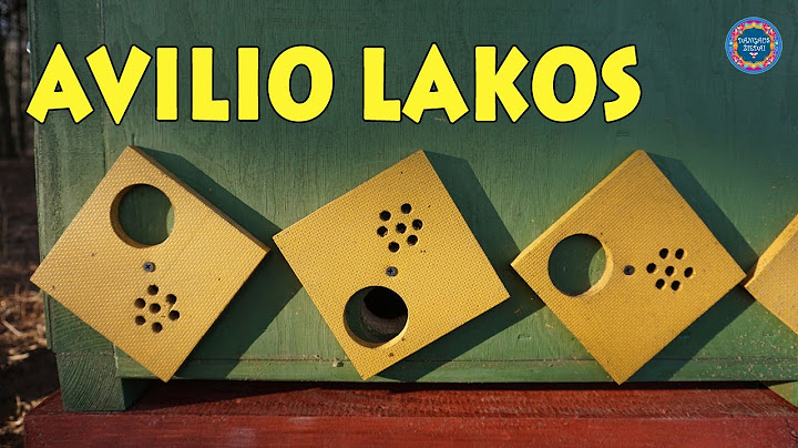 Kaip veikia apvalios avilio lakos?