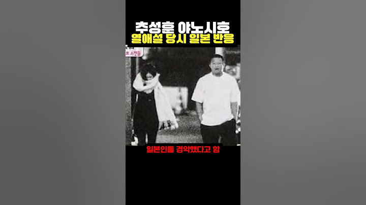 추성훈 야노시호 연애설 당시 일본인 반응