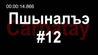 Пшыналъэ #12 | Хьэкӏуакӏ