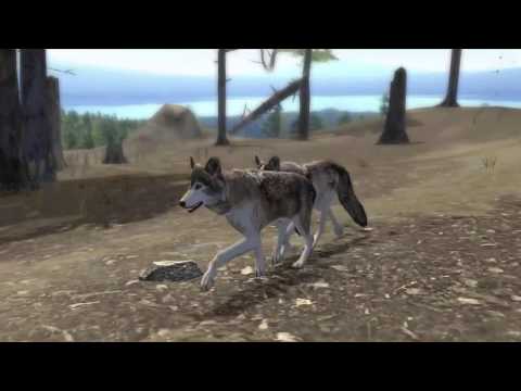 FIRST LOOK: Ultimate Wolf Simulator 2