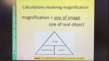 B1 Microscopes REQUIRED PRACTICAL