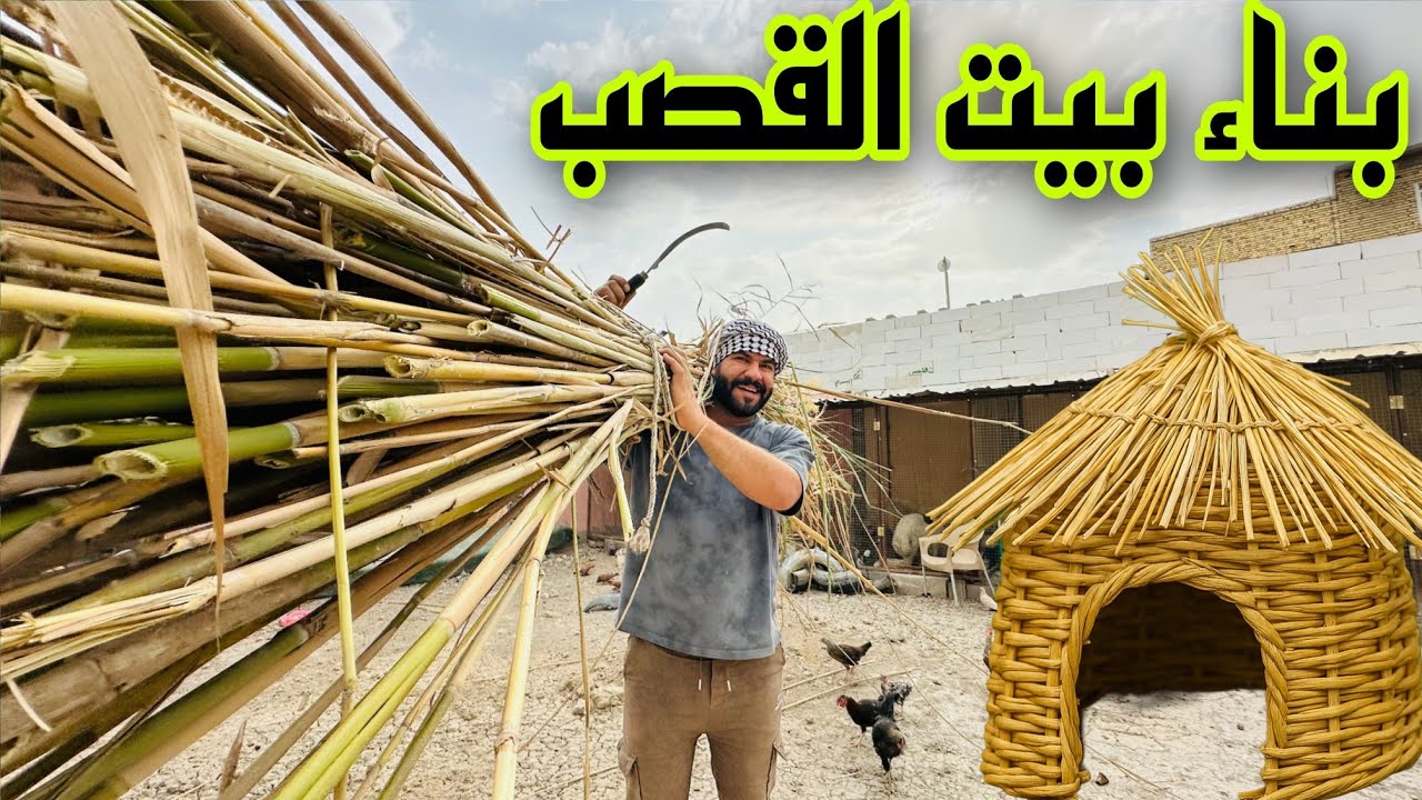 روتين العمل داخل المزرعة 😊