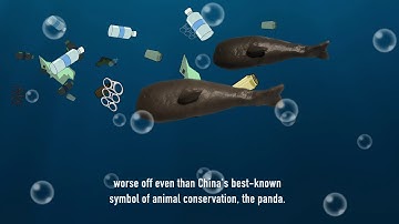 Stop Motion, mixed media animation