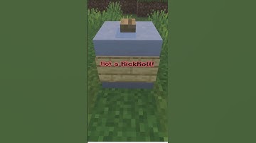 Not a RickRoll  #minecraft