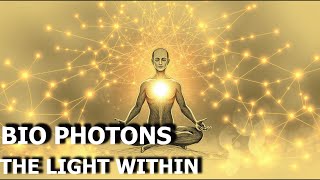 Famous Bio-Photons: The Light Within – How Your Body Communicates Energy Profile
