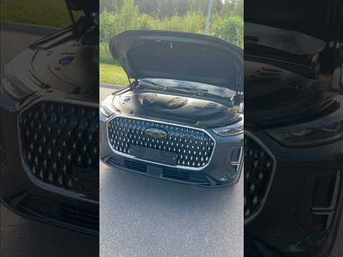 Мелочь, а приятно - Chery tiggo 9.