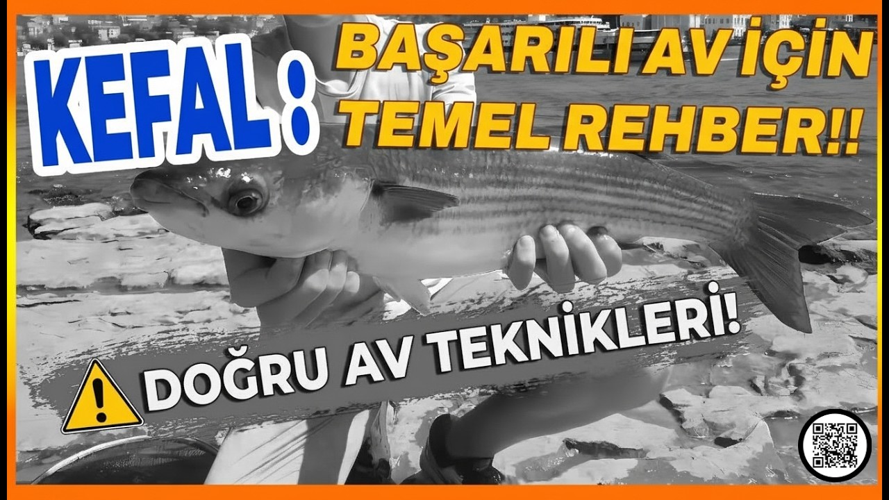 Kefal Avı Rehberi: Usta Teknikleri, Ekipman Seçimi ve Sürdürülebilir Avcılık Kuralları