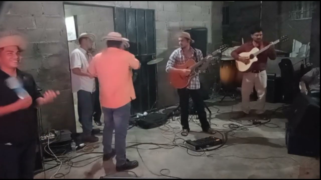 GALLINO PICAO PICAO  DE PANAMA