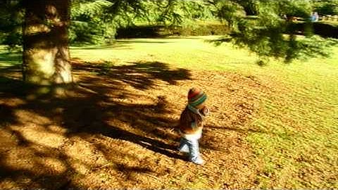 {Stitched Source} MPEG2 HDV1 576i PAL 16x9 25