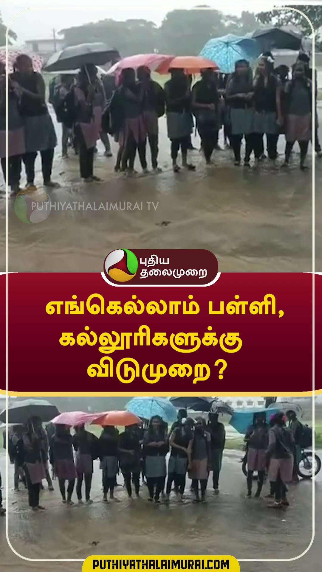 எங்கெல்லாம் பள்ளி, கல்லூரிகளுக்கு விடுமுறை? | #Rain #school