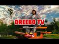 Dreebo TV 24 7 Streaming mp3