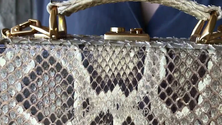 Beige trunk python bag, snakeskin trunk purse