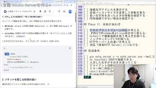 【#0010/300】C言語でEcho Serverを作る part4｜Building a Linux CLI Tool