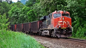 MASSIVE Empty CN Coal Train Close To 900 Axles! Speeding Thru Canadas Beautiful British Columbia!