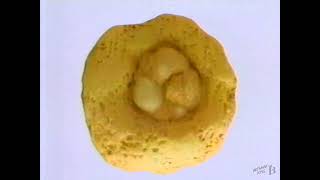 Quaker Ohs Cereal Commercial 1987