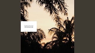 The Otherside Wealth