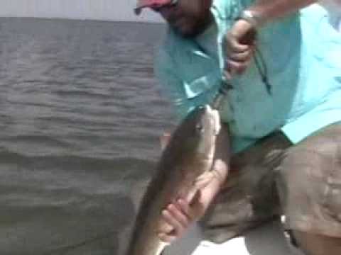 Fishing redfish in the Mosquito Lagoon Florida