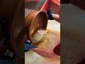 HOT lava liquid CANDY hit the floor?! 🍭🔥