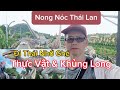 Thế Giới Khủng Long Ở Thái Lan Như Phim Hollywood -Khu Vườn Nong Nooch (Nong Nóc)