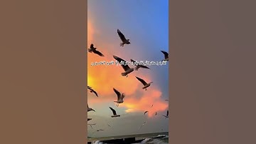 أفأمنوا مكر الله #سورة الأعراف