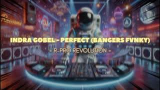 INDRA GOBEL - PERFECT (BANGERS FVNKY) [R-PRO REVOLUTION]