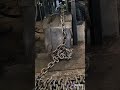 Ring chain manufacturer, multiple specifications, sufficient in stock, need to leave a message