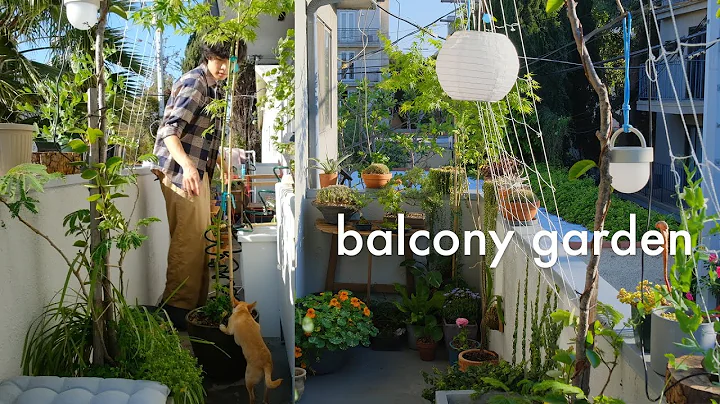 Apartment Balcony Garden | designing with plants - DayDayNews